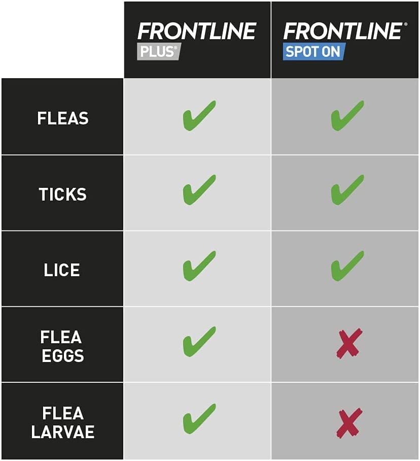 FRONTLINE Plus Flea & Tick Treatment for Cats and Ferrets - 6 Pipettes, Flea ...