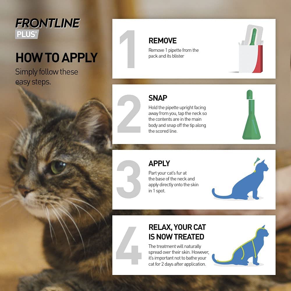 FRONTLINE Plus Flea & Tick Treatment for Cats and Ferrets - 6 Pipettes, Flea ...