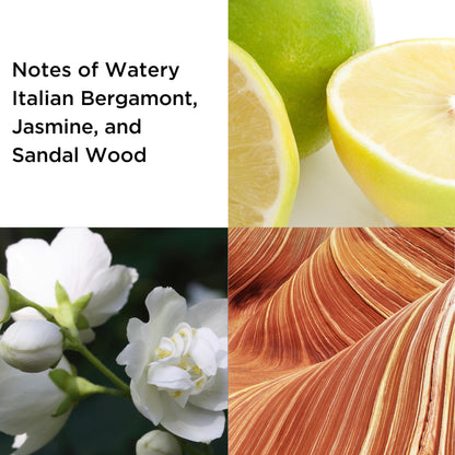 Elizabeth Arden SUNFLOWERS Eau de Toilette 100ml Women's Gift Set - Prime del...